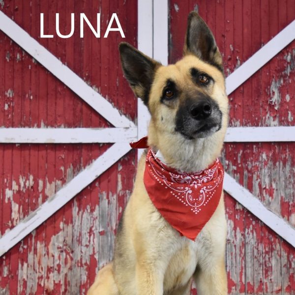 Luna thumbnail 1
