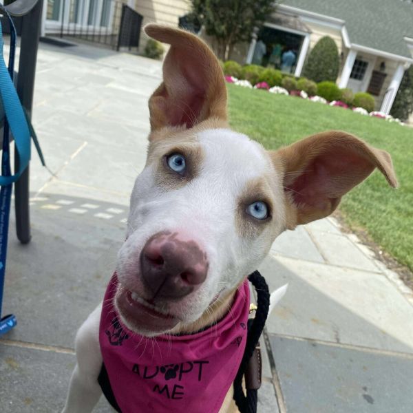 Amy (p) thumbnail 1