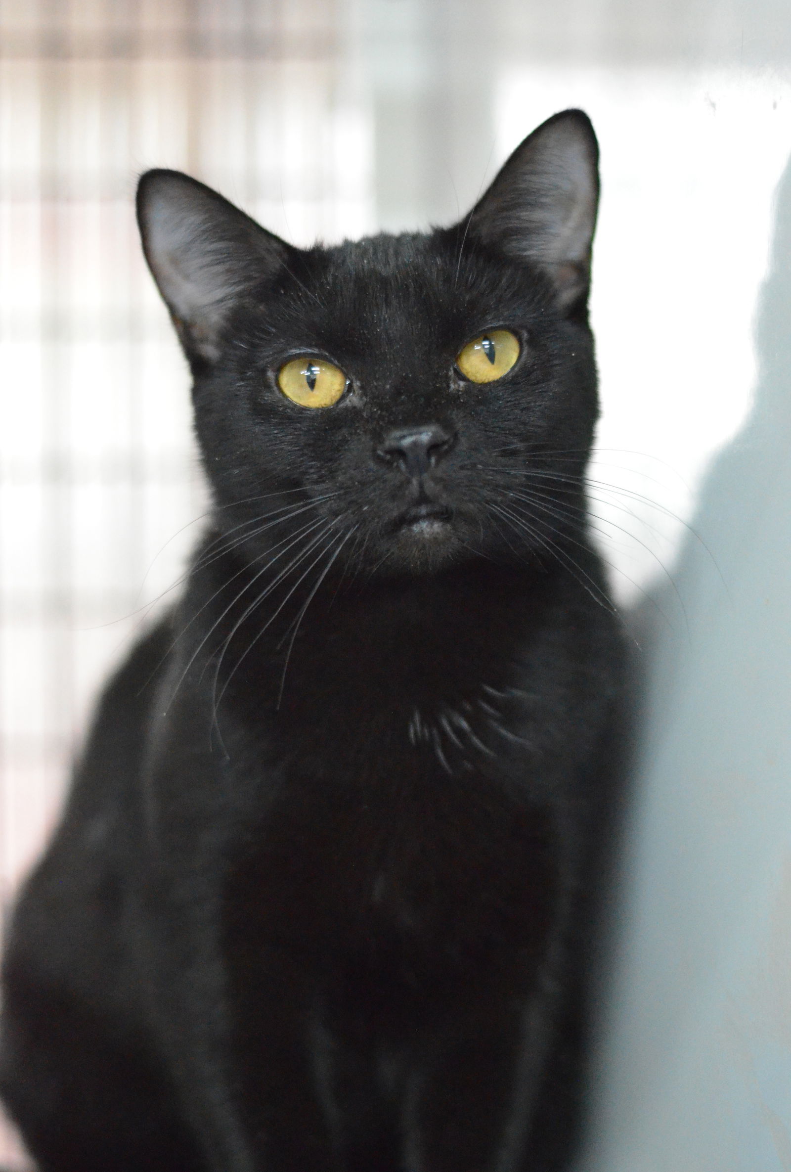 Sabrina