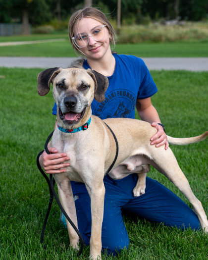 Lip, an adoptable Black Mouth Cur, Mixed Breed in Pequot Lakes, MN, 56472 | Photo Image 1