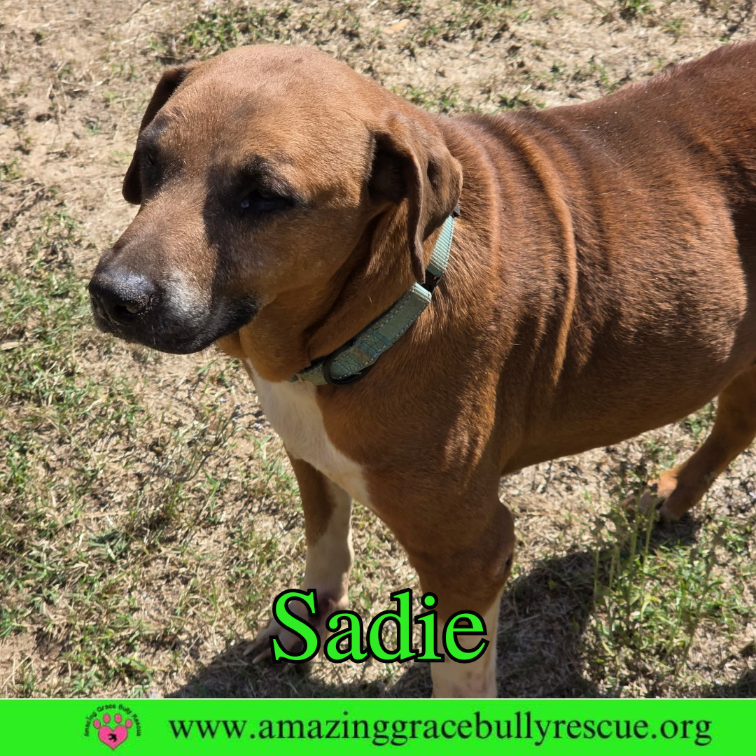 Sadie