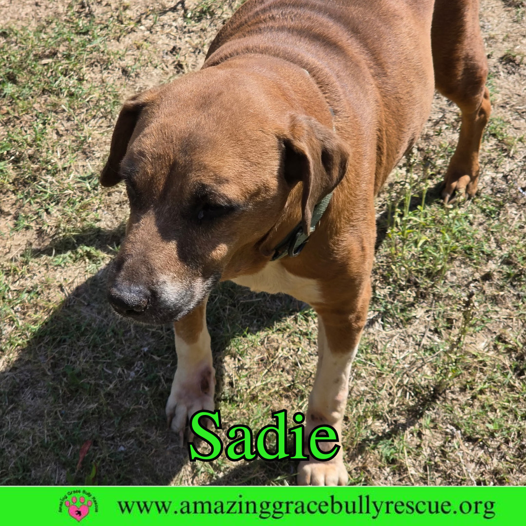 Sadie