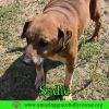 Sadie photo 2