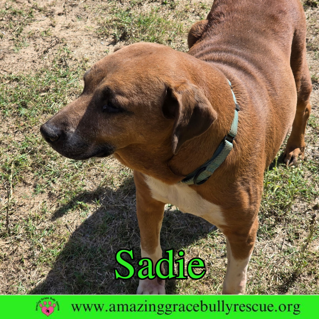 Sadie