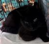 Patsy photo 2