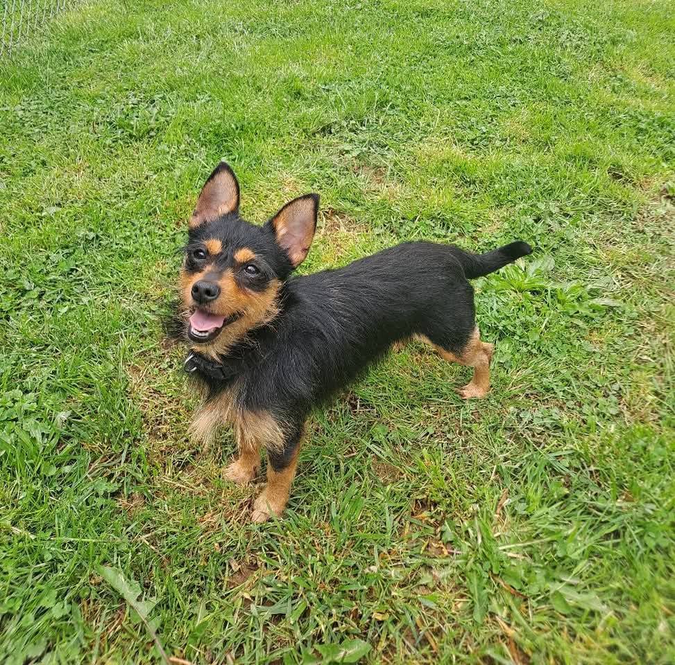 Shilo