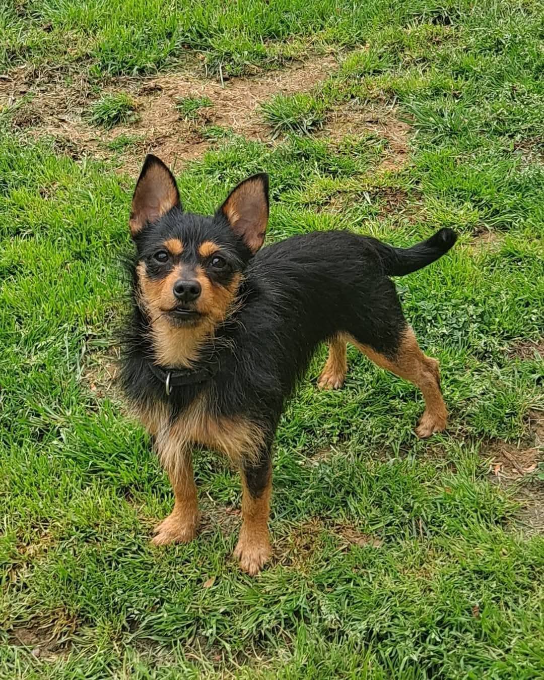 Shilo
