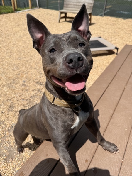 Ellie