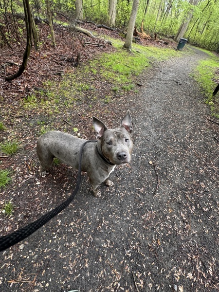 Ellie
