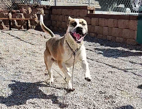 Roscoe
