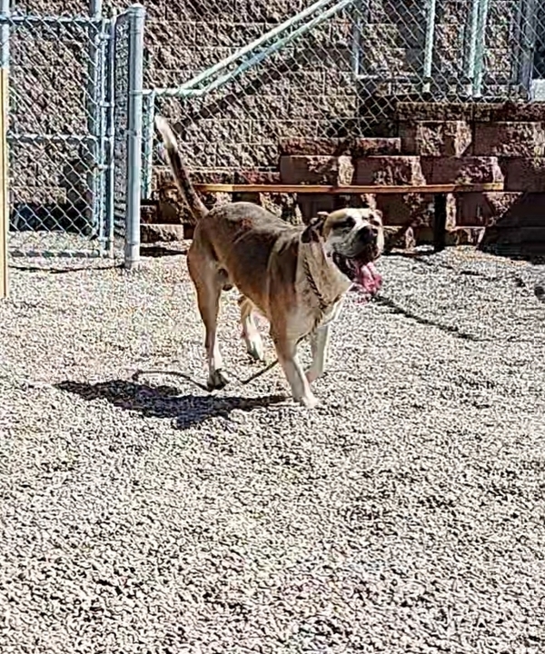 Roscoe