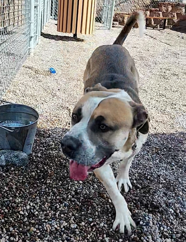 Roscoe