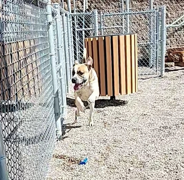 Roscoe