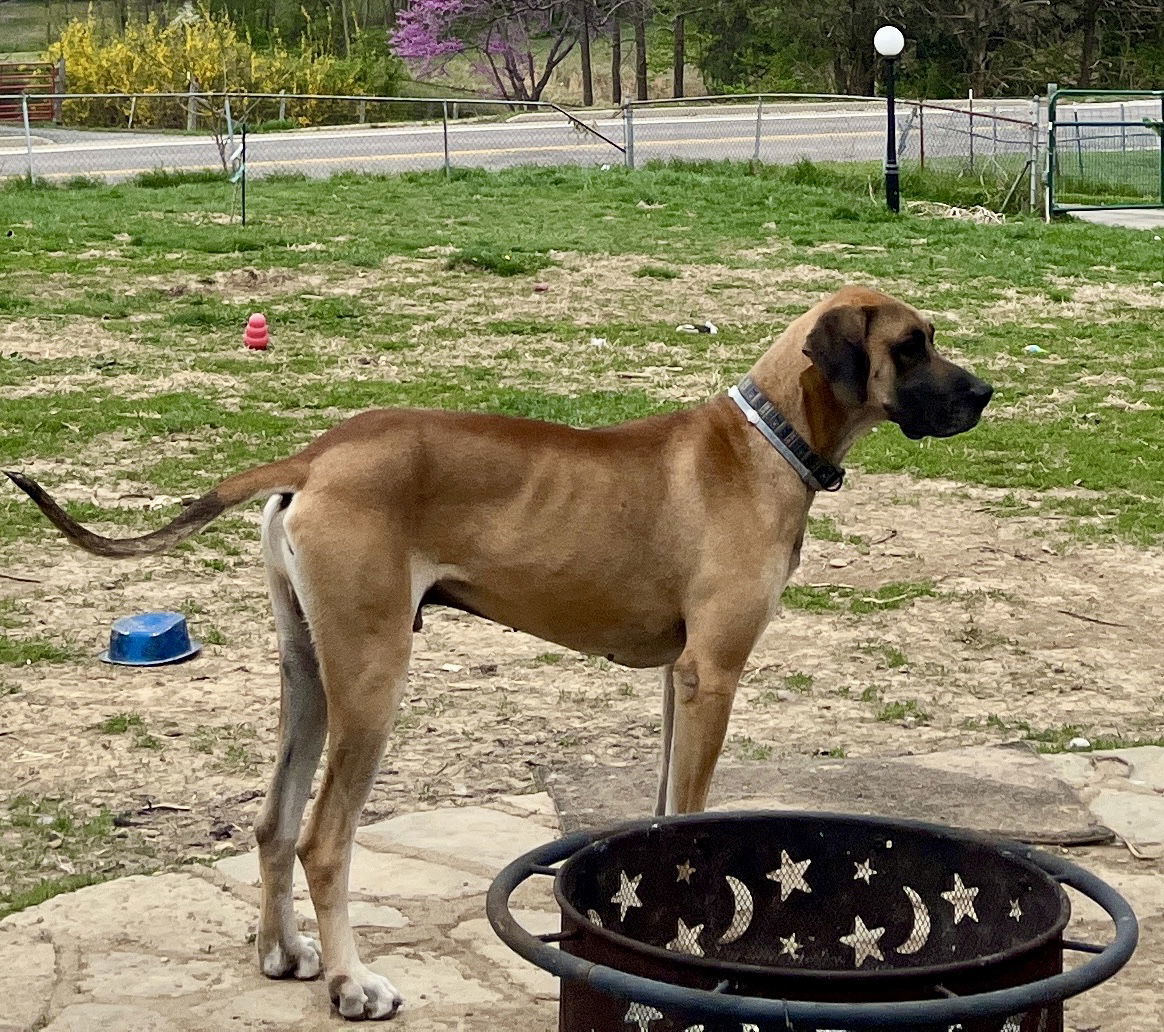 Oscar