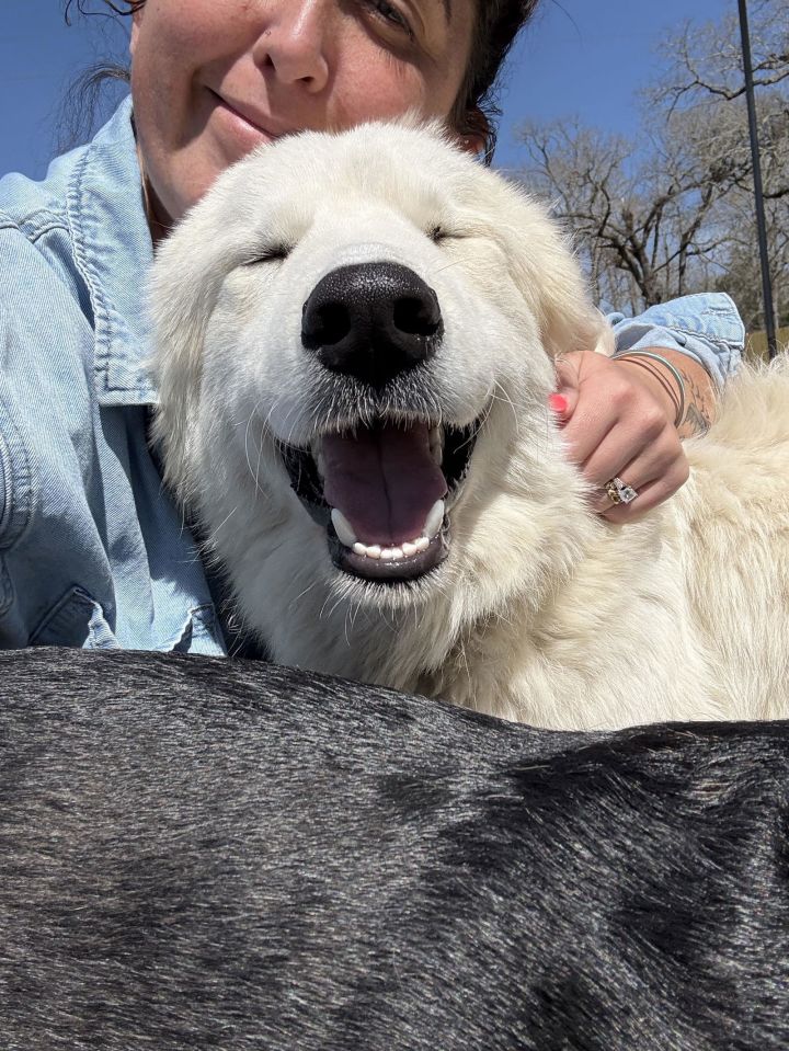 Zeus (Courtesy) 2