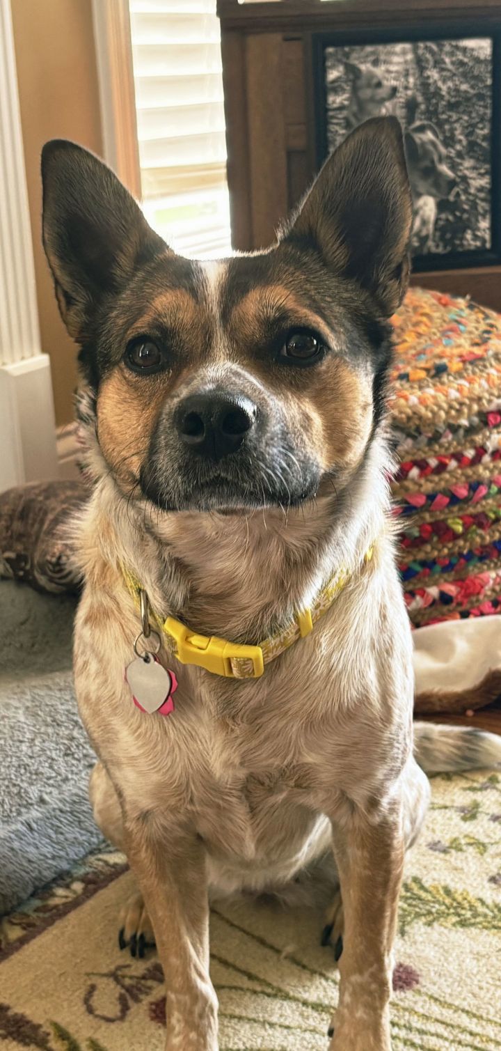 MAGGIE MAE 2