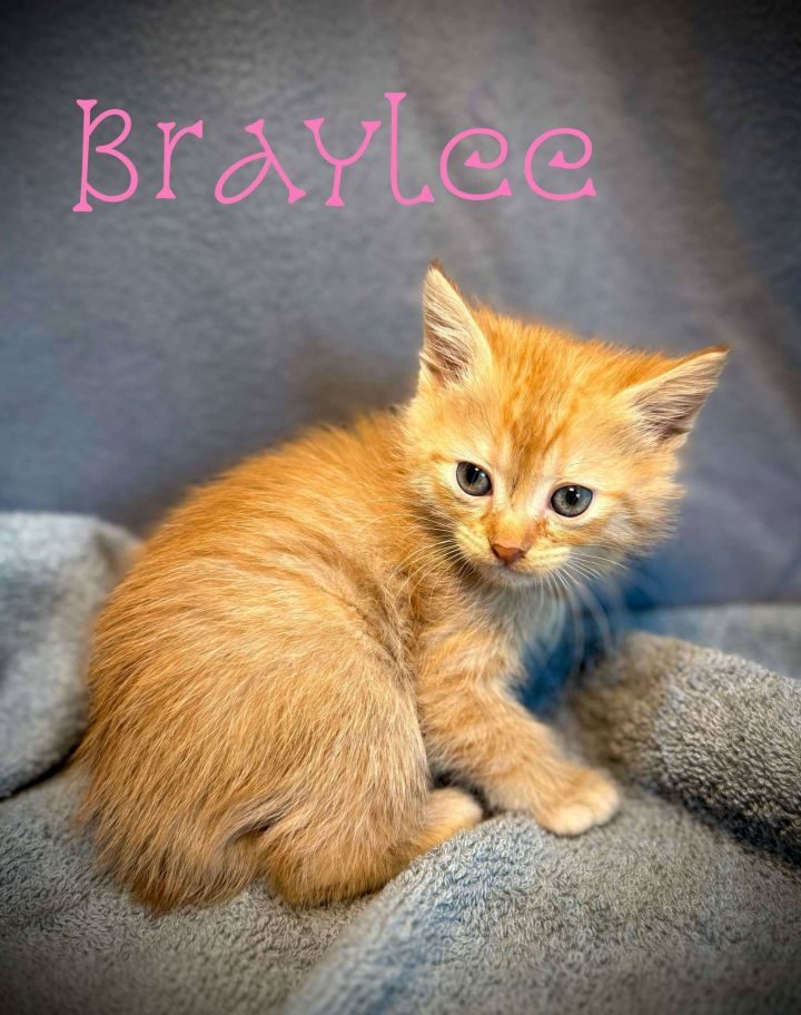 Braylee 1