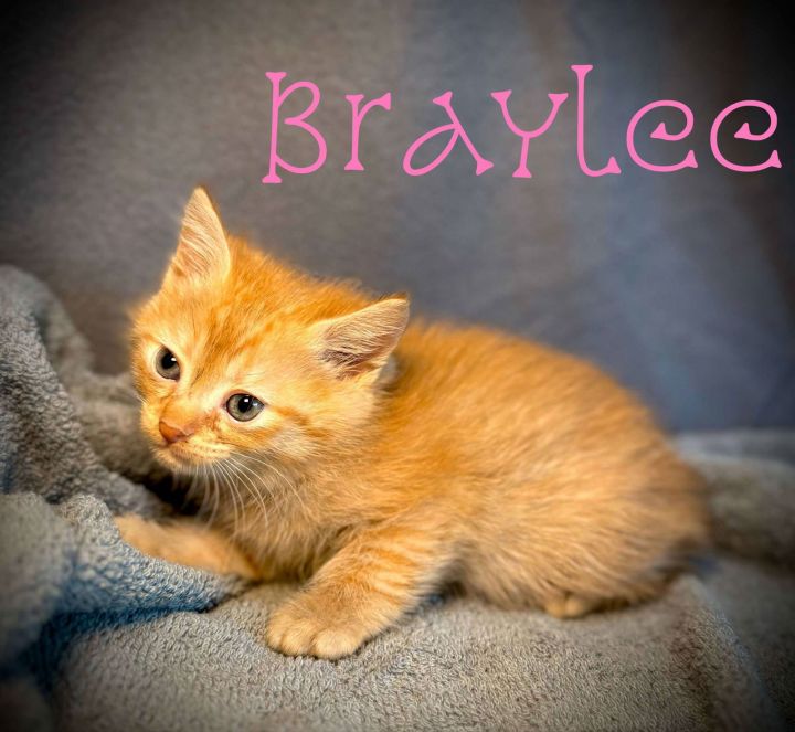Braylee 2