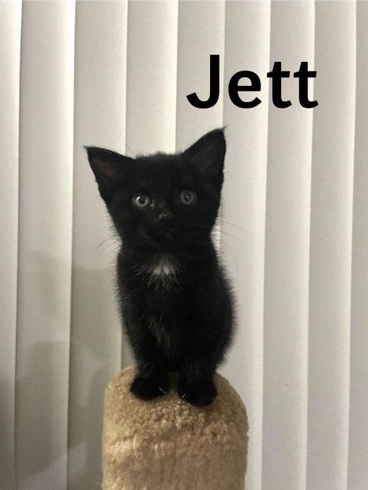 Jett 1