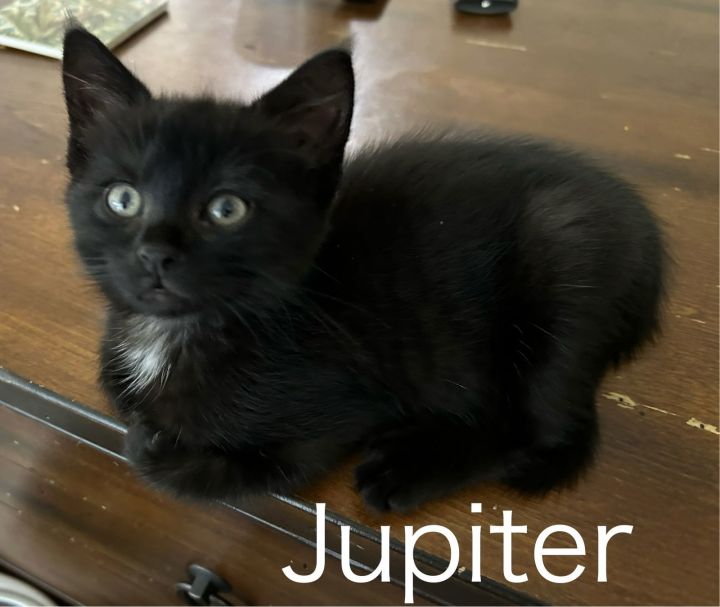 Jupiter 1