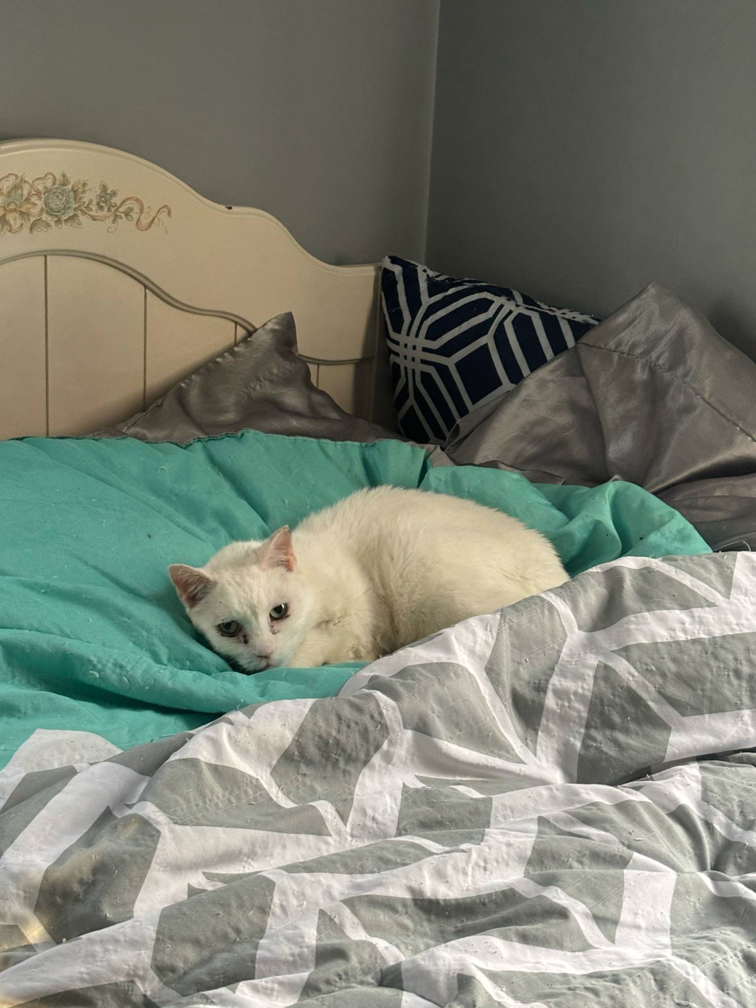BLANCA