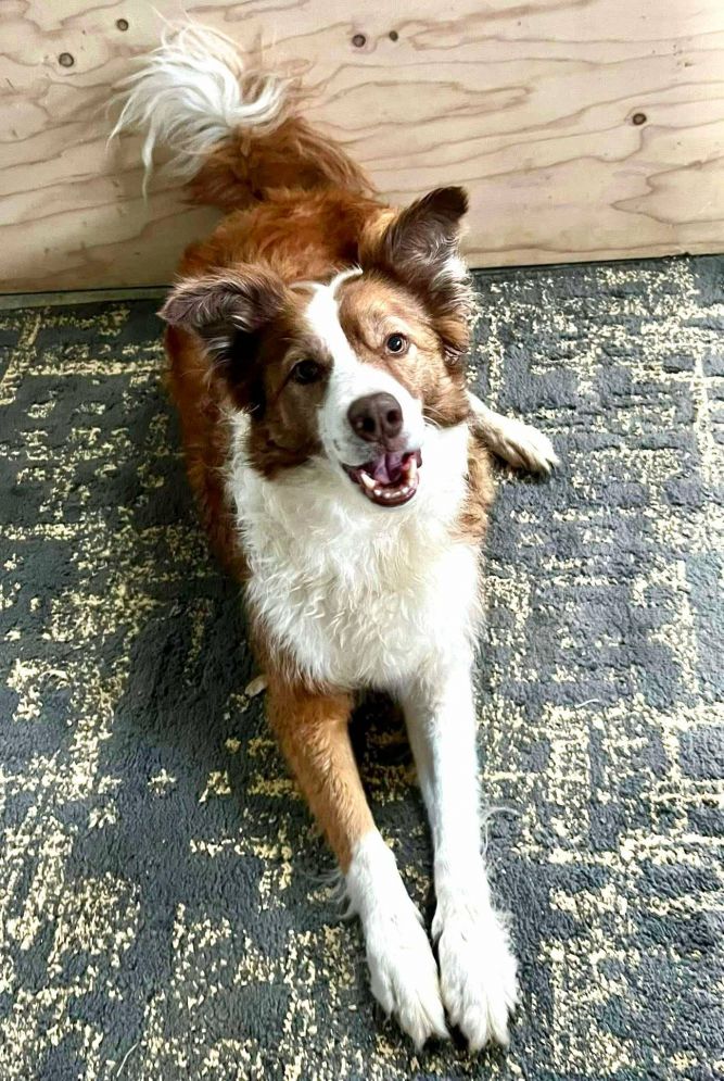 Rue (Courtesy Post)