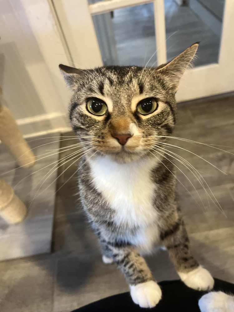 Leif (Bonded to Laken)