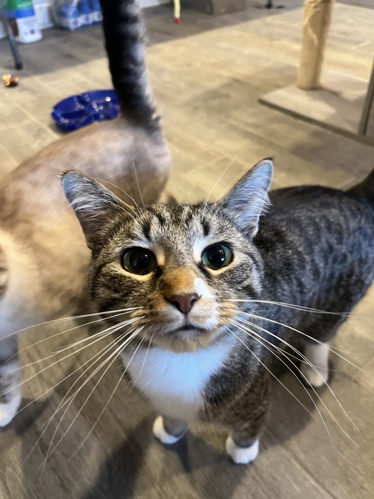 Leif (Bonded to Laken)