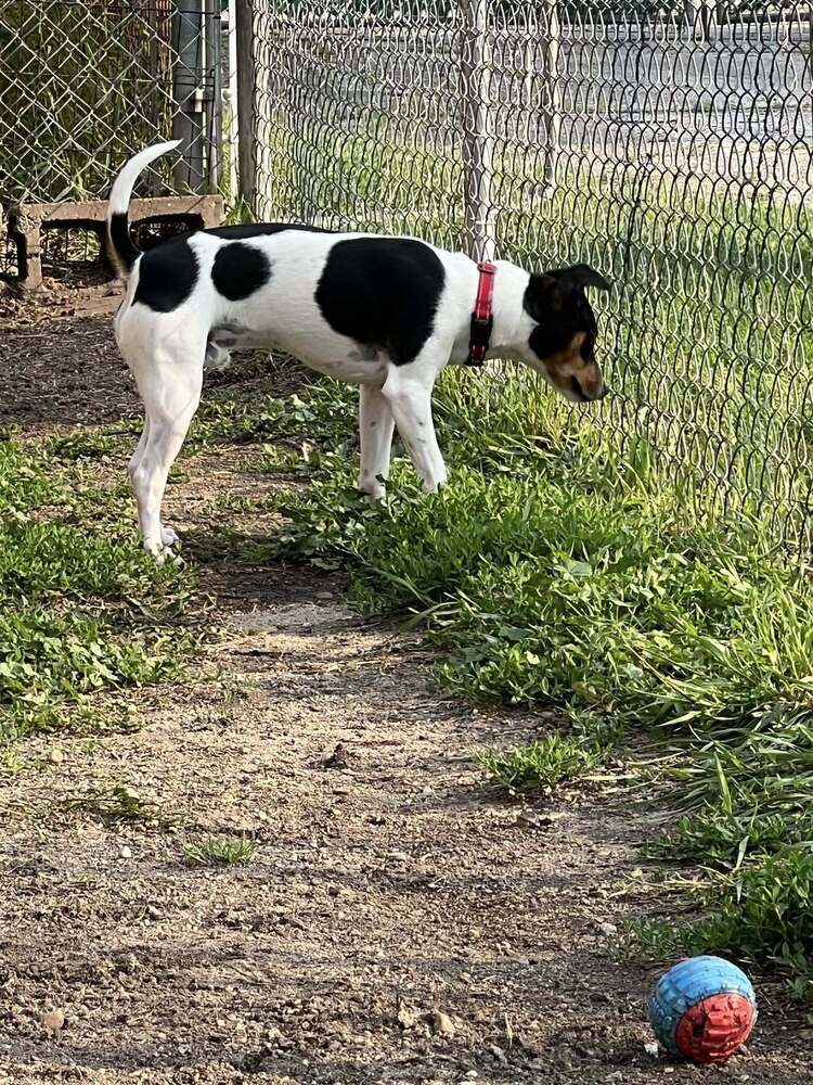 Bo (Buster)