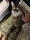 Olivia photo 3