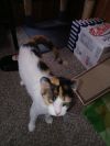 Chance photo 3