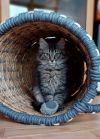 Rollo photo 2