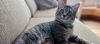 Rollo photo 3