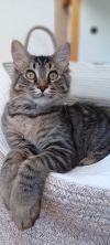 Rollo photo 4