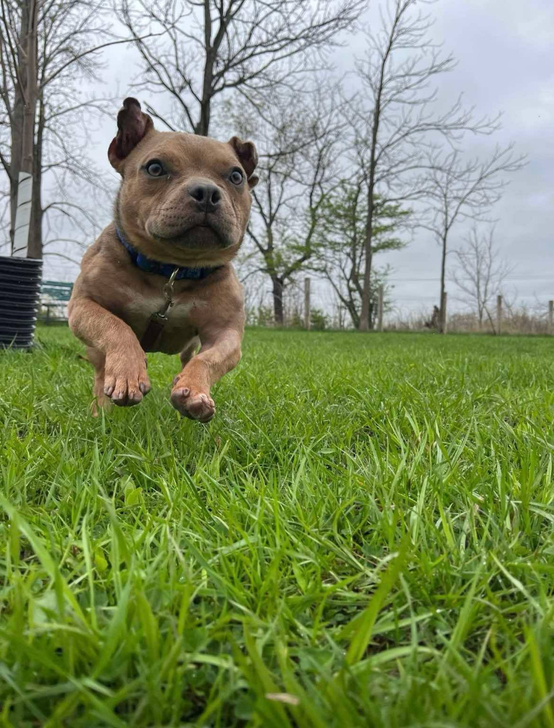 Morty