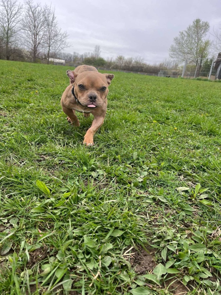 Morty