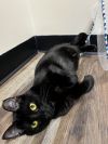 Brunhilda photo 2
