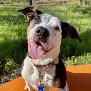 Maggie