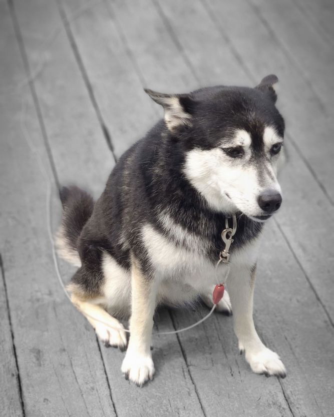 Zoey