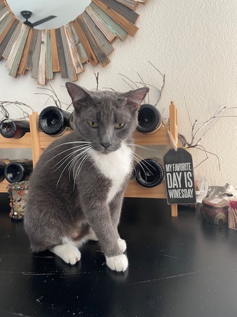 Mittens