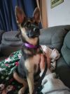 Talia photo 2