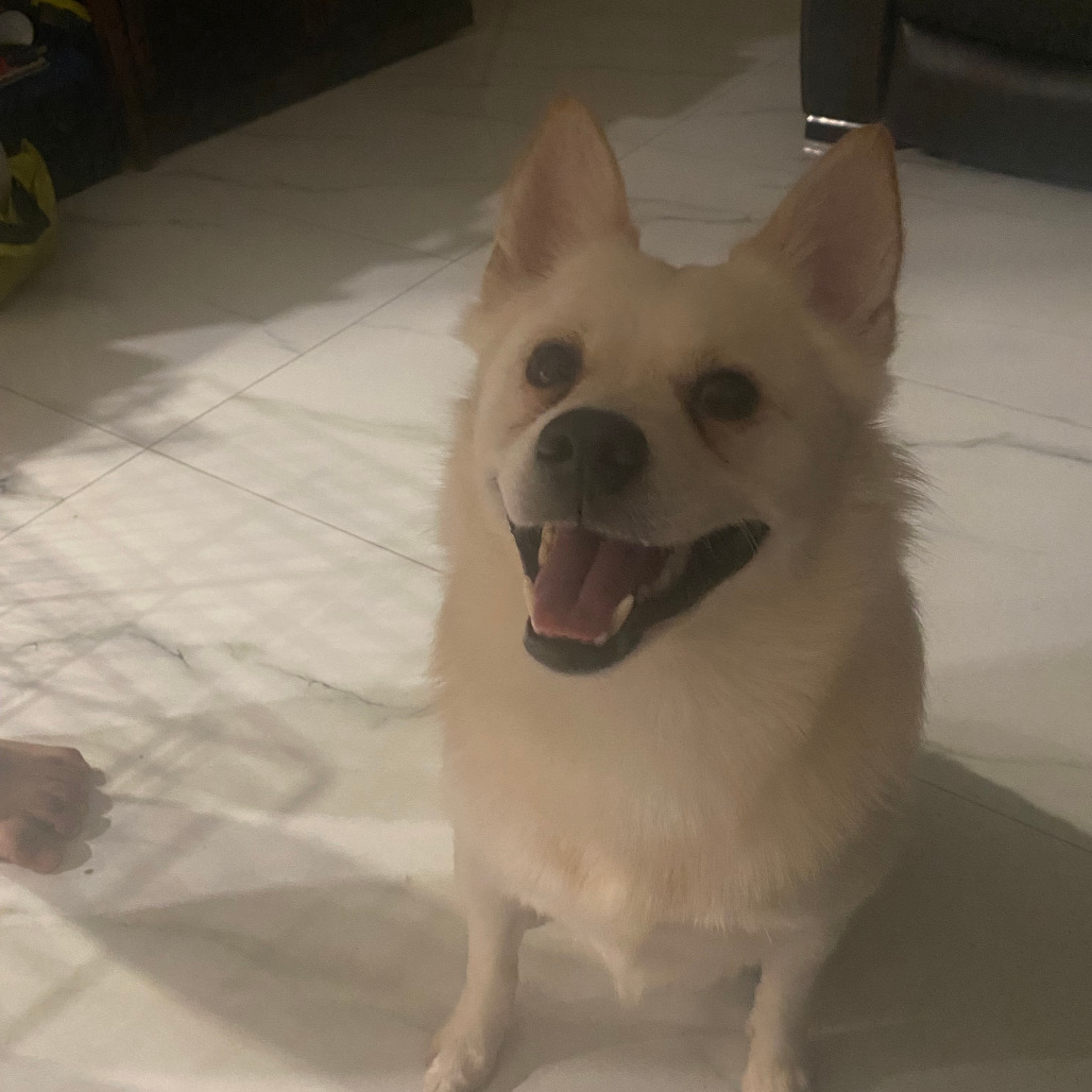Leo