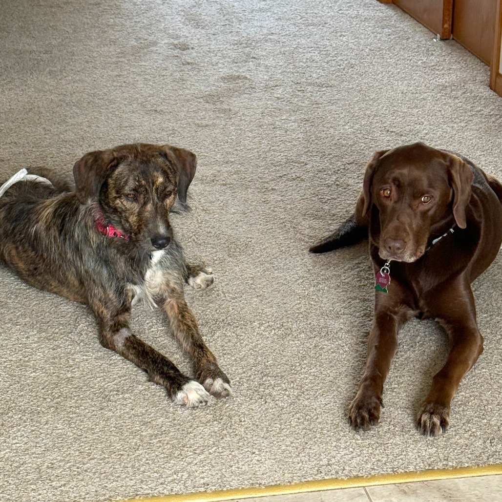 Copper