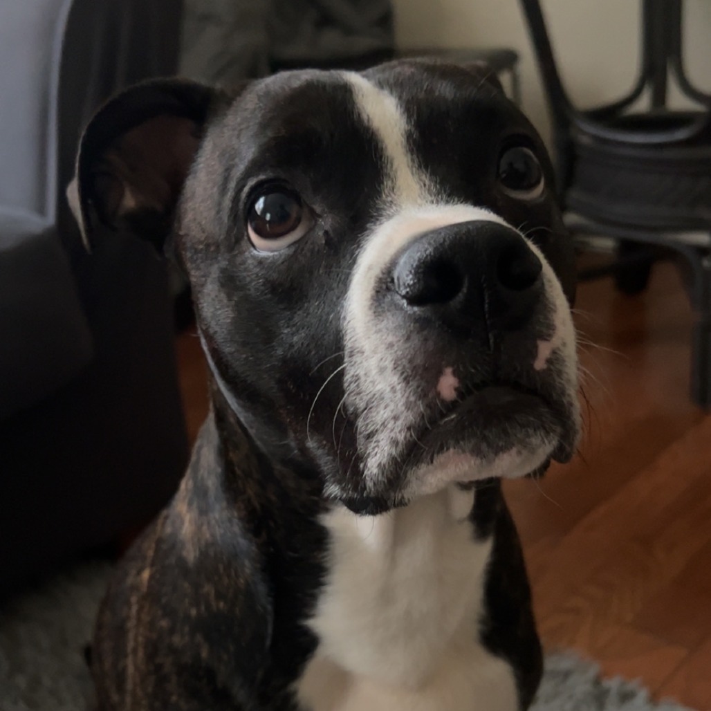 Milo