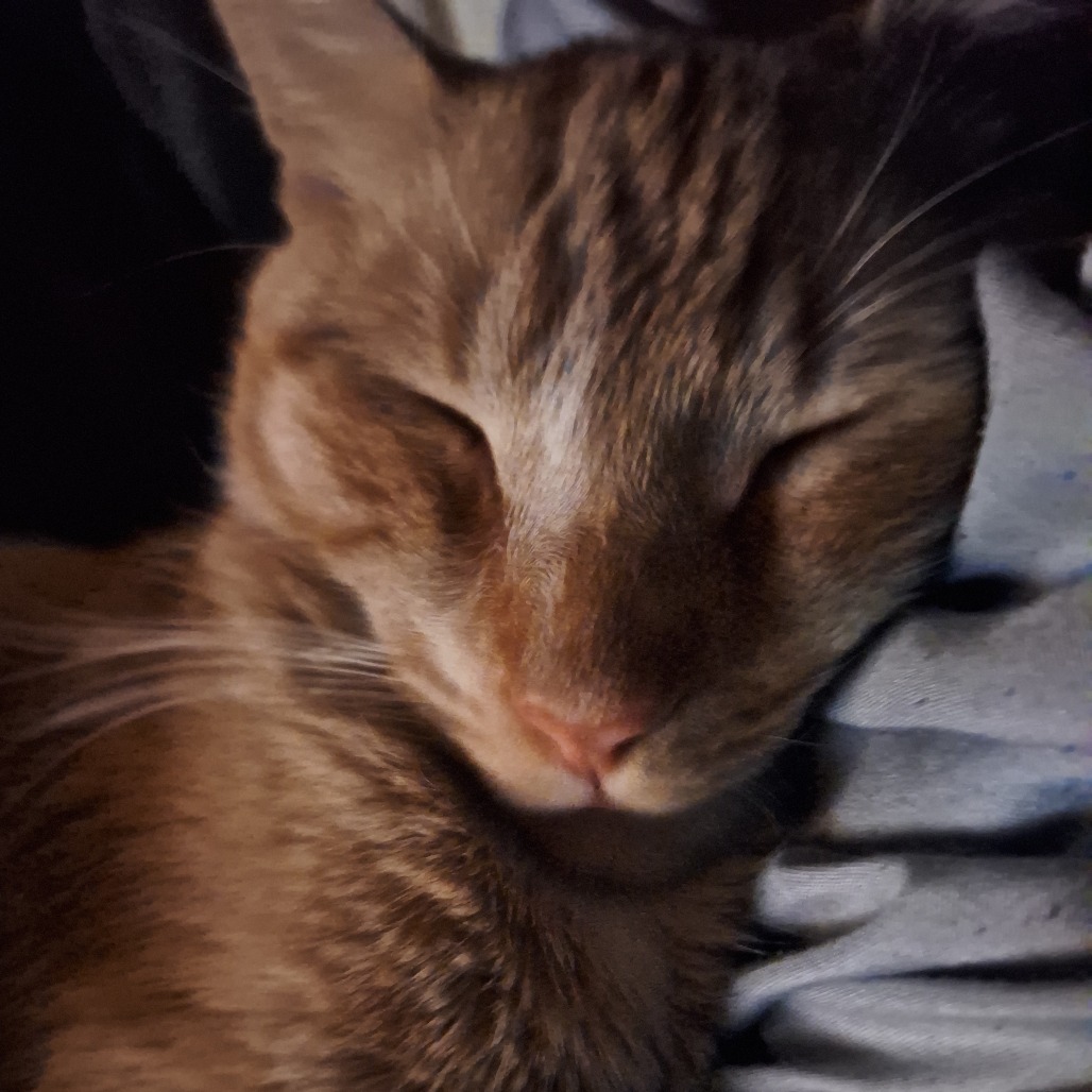 Ali