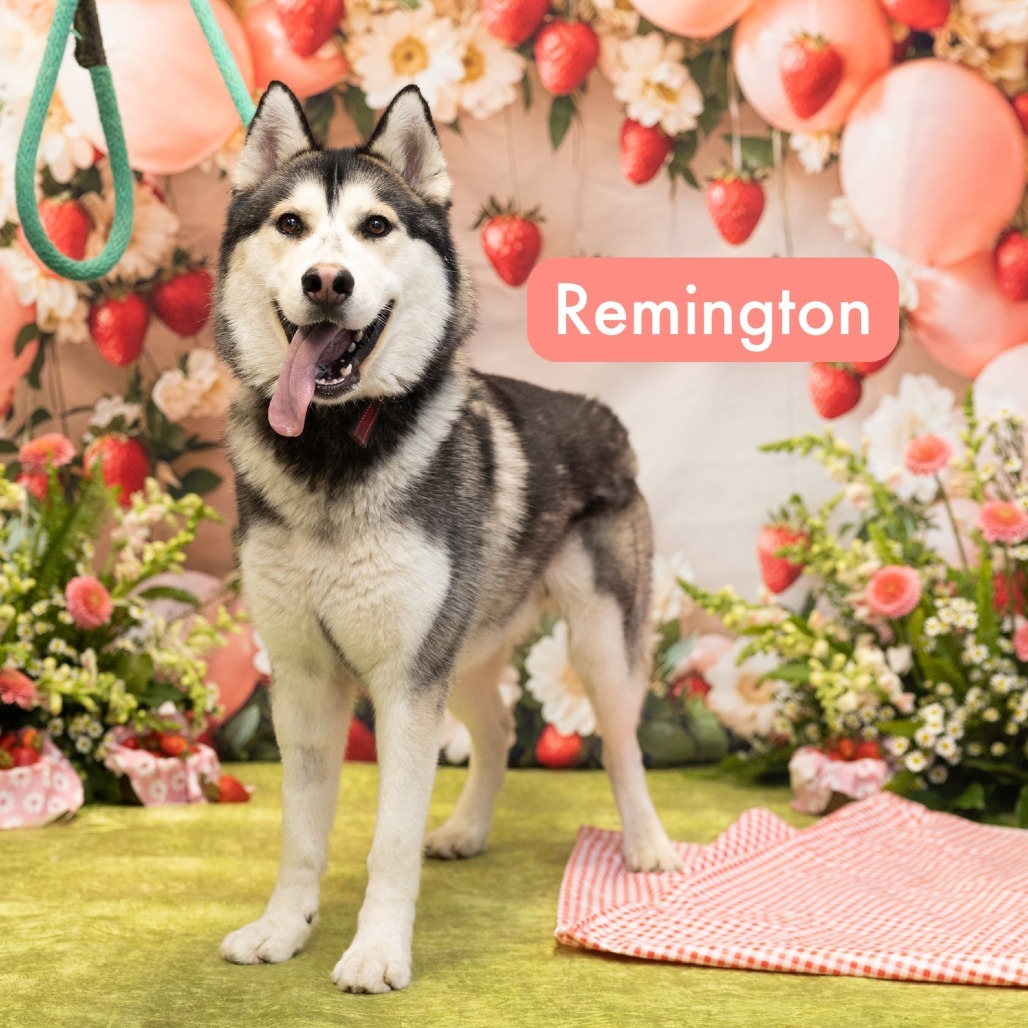 Remington