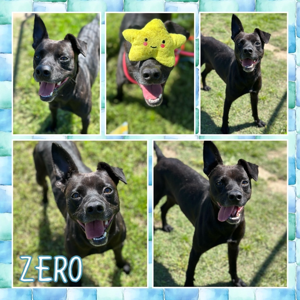 Zero