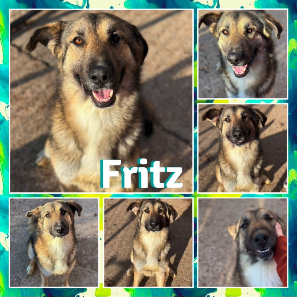 Fritz