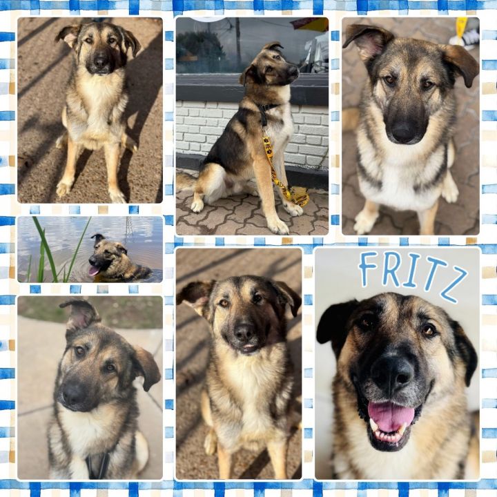 Fritz 1
