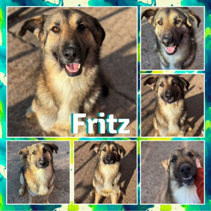 Fritz 2